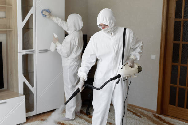 24/7 Emergency Odor Removal experts in Tecumseh, MI